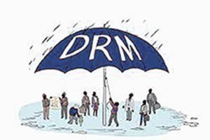Disaster risk management