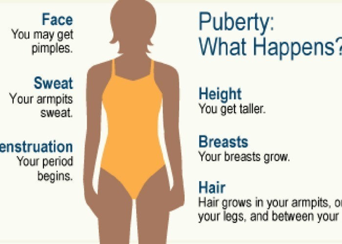 Everything You Wanted to Know About Puberty